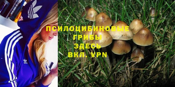 ГАЛЛЮЦИНОГЕННЫЕ ГРИБЫ Баксан