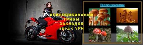ГАЛЛЮЦИНОГЕННЫЕ ГРИБЫ Баксан